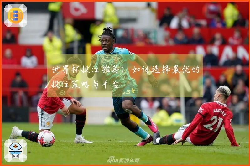 世界杯投注推荐：如何选择最优的投注策略与平台