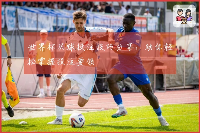 世界杯买球投注技巧分享，助你轻松掌握投注要领