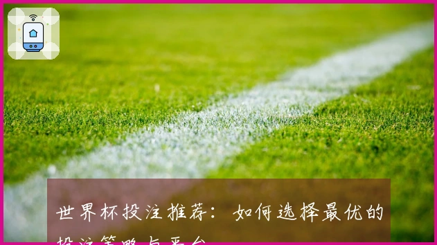 世界杯投注推荐：如何选择最优的投注策略与平台