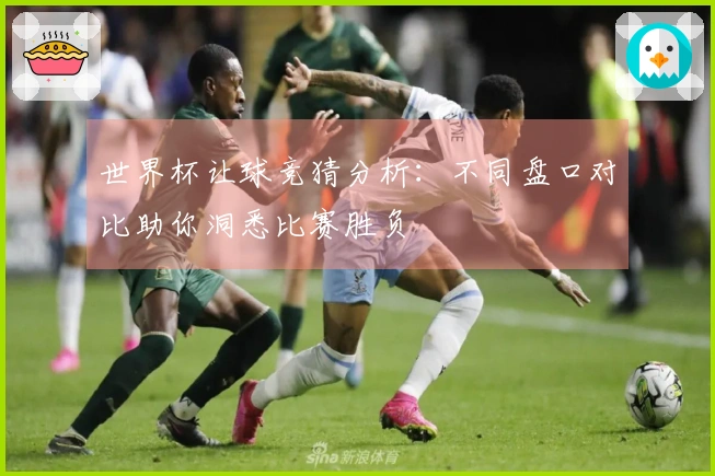 世界杯让球竞猜分析：不同盘口对比助你洞悉比赛胜负