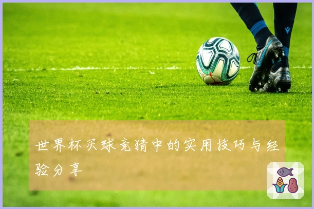 世界杯买球竞猜中的实用技巧与经验分享
