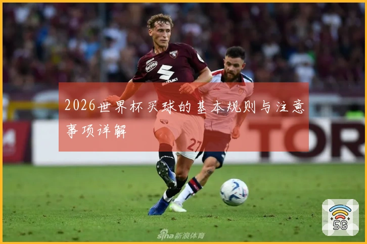 2026世界杯买球的基本规则与注意事项详解
