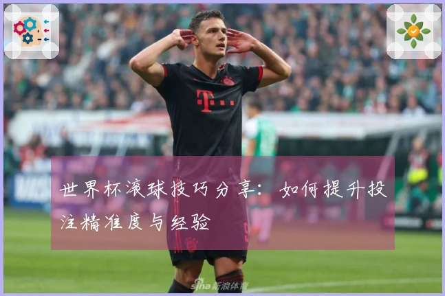 世界杯滚球技巧分享：如何提升投注精准度与经验