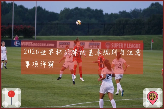 2026世界杯买球的基本规则与注意事项详解