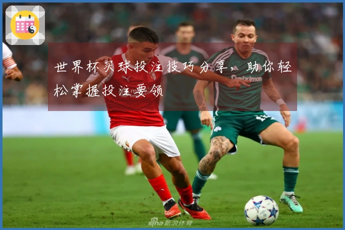 世界杯买球投注技巧分享，助你轻松掌握投注要领