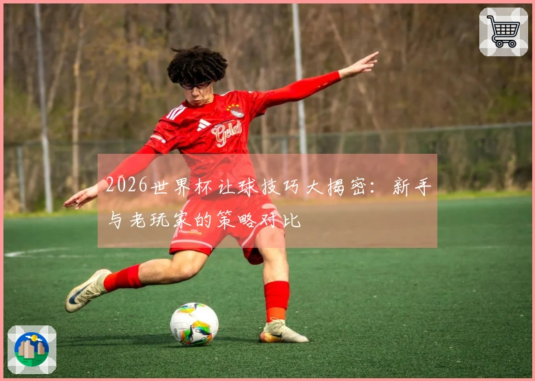 2026世界杯让球技巧大揭密：新手与老玩家的策略对比